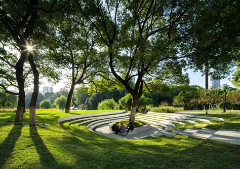 宜昌如何去森林公園，或許我們可以討論一下為什麼森林公園的樹木總是比城市的綠